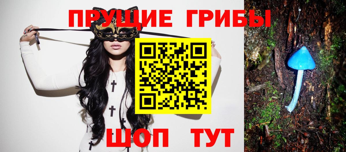 Псилоцибиновые грибы Psilocybine cubensis  Вход с VPN  Домодедово 