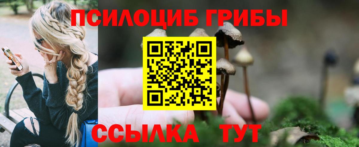 Галлюциногенные грибы Cubensis Домодедово